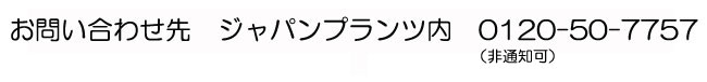 お問い合わせ先フリーダイヤル